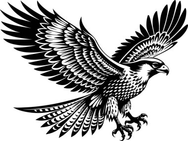gyrfalcon kuş vektör çizimi