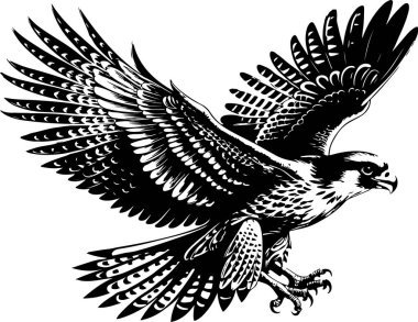 gyrfalcon kuş vektör çizimi