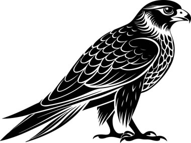 gyrfalcon kuş vektör çizimi