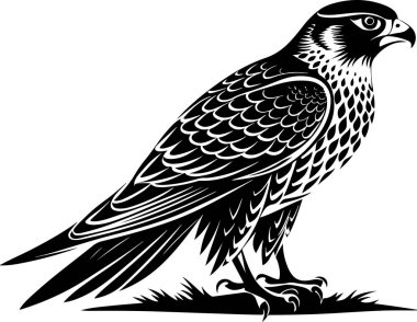 gyrfalcon bird vector illustration clipart