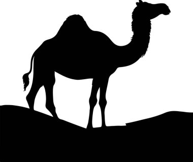 camel silhouette vector printable design, camel flat style artwork design clipart