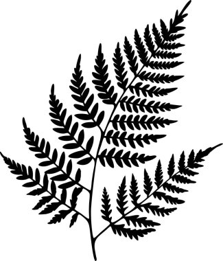 fern leaves silhouettes vector illustration design clipart