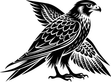 Gyrfalcon vector illustration design clipart