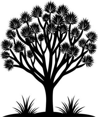 ceibo tree vector illustration clipart