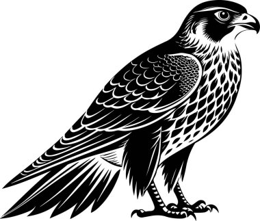 saker falcon vector illustration design clipart