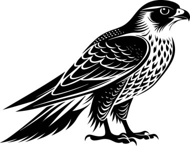 saker falcon vector illustration design clipart