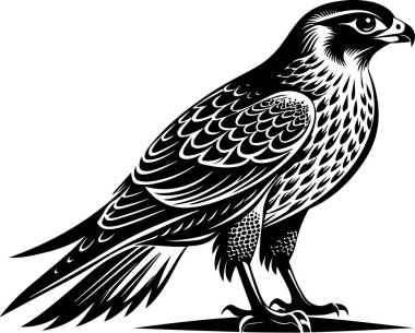 saker falcon vector illustration design clipart