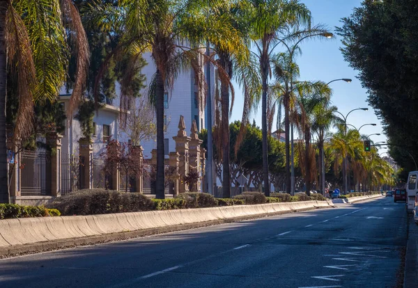 Smuk Udsigt Træer Gennem Gaderne Malaga - Stock-foto