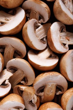 Kahverengi mantarlar, şampiyonlar...