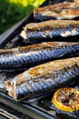 Izgara tabağındaki kızarmış uskumru balığını yakından izle.