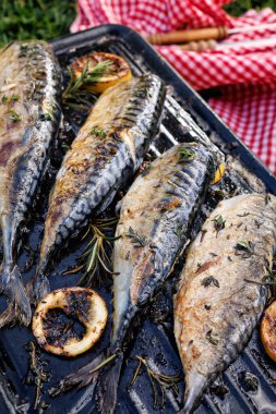 Izgara tabağında uskumru balığı, otlar ve limon dilimleri, yakın görüş, açık hava.
