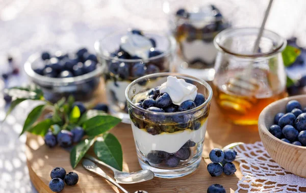 Healthy dessert or breakfast made of natural greek yoghurt, fresh blueberries and honey, close up view
