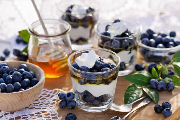 Десерт Натурального Грецького Йогурту Свіжої Чорниці Меду Вид Крупним Планом Стокове Зображення