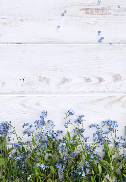 Białe Drewniane Tło Niebieskimi Kwiatami Nie Zapominających Obrazek Stockowy