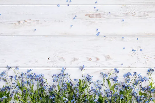 Fondo Madera Blanca Con Flores Azules Los Que Olvidan Imágenes De Stock Sin Royalties Gratis