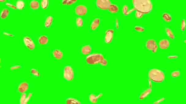 Gold Coins Rupee Symbol Falling Render Green Screen Video — Wideo stockowe