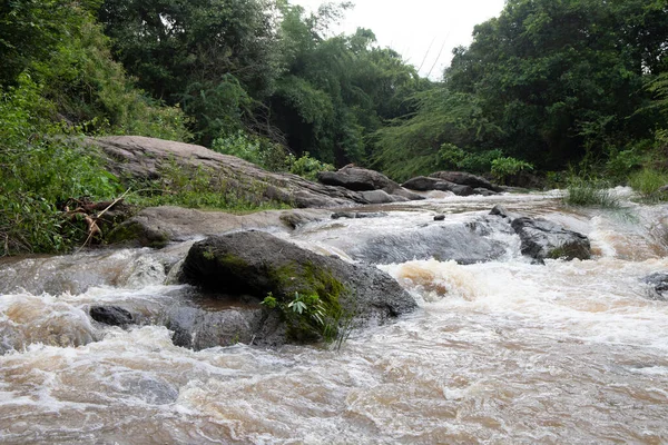 Fluir Del Río Bosque Cordillerano —  Fotos de Stock