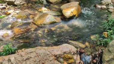 Vahşi Dağ Nehri, Berrak Nehir 'i kapatın. Taş Kaya Akımı ile Gevezelik Deresi 'nin Detaylı Çekimi. 