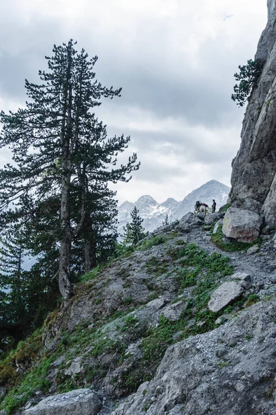 Albanischer Alpenblick Berglandschaft Von Valbona Und Theth Albanien Beliebter Wanderweg — Stockfoto