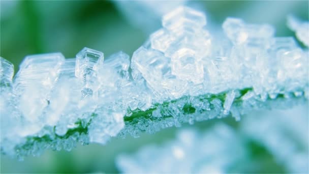 Selective Focus Frost Crystals Shallow Depth Field Cold Winter Concept — Stock Video