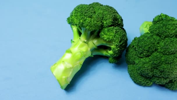 Brokolice Izolované Modrém Pozadí — Stock video