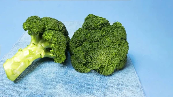 Broccoli isolated on blue background