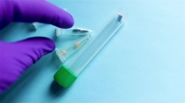 Suç mahallinden toplanan kadavra faunasının yaşam döngüsünün farklı evrelerinden örnekler gösteriliyor.