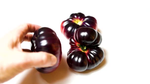 Nueva Variedad Tomate Híbrido Genético Tomate Azul Aislado Sobre Fondo — Vídeos de Stock