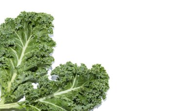 Kale adındaki süper besleyici sebzeden iki yeşil yaprak, beyaz arka planda izole edilmiş, kopyalama alanı