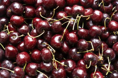 San Climent, Barcelona, İspanya 'dan toplanmış kiraz kağıtları.