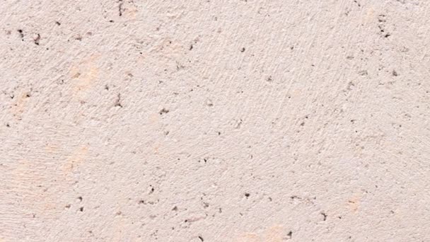 Texture Papier Peint Ciment Sur Mur — Video