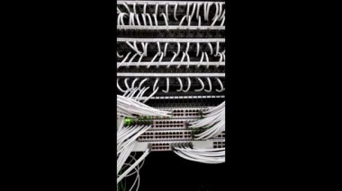 Beyaz Kablolu Veri Merkezi 'ndeki Organize Ethernet Yama Paneli, 4k video