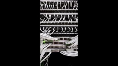 Beyaz Kablolu Veri Merkezi 'ndeki Organize Ethernet Yama Paneli, 4k video