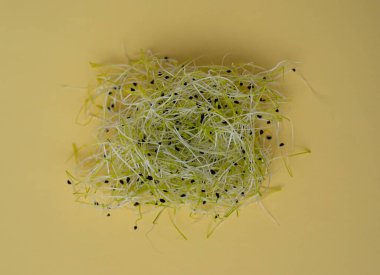 Taze pırasa filizleri yenmeye hazır.