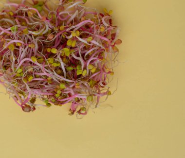 Taze turplar yenmeye hazır.