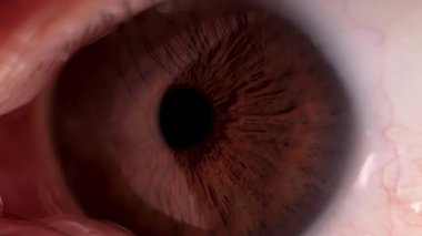 Makro çekimde damar ayrıntıları ve hızlı göz hareketi