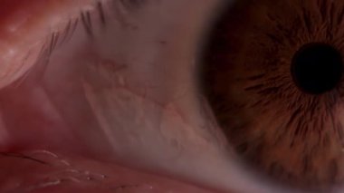 Makro çekimde damar ayrıntıları ve hızlı göz hareketi