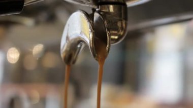 Barista taze kahve telvesini karıştırıyor ve taze kahve yapıyor.
