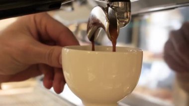 Barista taze kahve telvesini karıştırıyor ve taze kahve yapıyor.