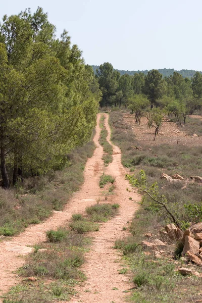 stock image dirt road in the mountains of southern Andalusia, there are trees and bushes, the sky has clouds