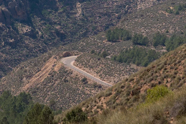 stock image road crossing the mountainside, the terrain is steep, there are pine trees and bushes