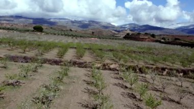İspanya 'nın güneyinde Ugijar' da badem ağaçlarının ekinini uçuran, çimen ve taşlar olan, dağlık bir bölge, gökyüzünde bulutlar var.