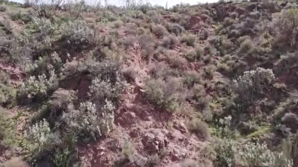 Воздушное Видео Крутого Района Юге Испании Несколько Ущелий Земля Имеет — стоковое видео
