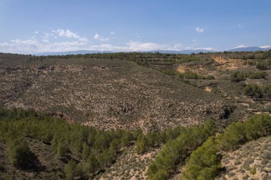 İspanya 'nın güneyindeki bir dağda çam ormanı, çalıları olan dağlık bir bölge, gökyüzü açık.
