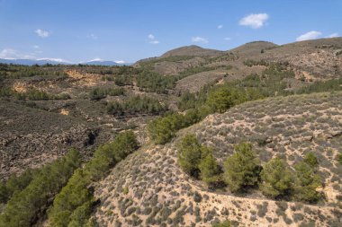 İspanya 'nın güneyindeki bir dağda çam ormanı, çalıları olan dağlık bir bölge, gökyüzü açık.