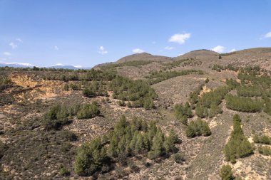 İspanya 'nın güneyindeki bir dağda çam ormanı, çalıları olan dağlık bir bölge, gökyüzü açık.