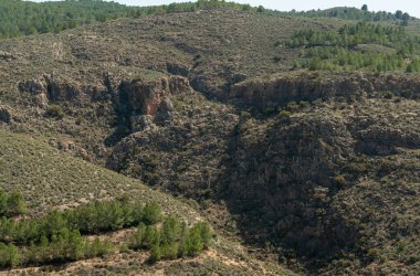 İspanya 'nın güneyindeki bir dağda sarp bir arazi, kayalar ve çam ormanları var, çalılar var.