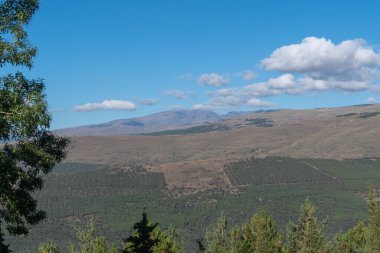 Mulhacen ve Alcazaba 2 dağ Sierra Nevada 'da, dağların yamacında çam ormanları var, gökyüzünde bulutlar var.