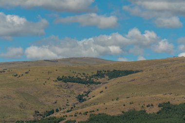 Güney İspanya 'daki Sierra Nevada Dağı' nda çam ormanları ve çalılar var, gökyüzünde bulutlar var.