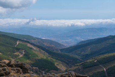 Güney İspanya 'da Sierra Nevada dağları, çam ağaçları ve çalılardan oluşan bir orman var, kaya oluşumları var, gökyüzünde bulutlar var.